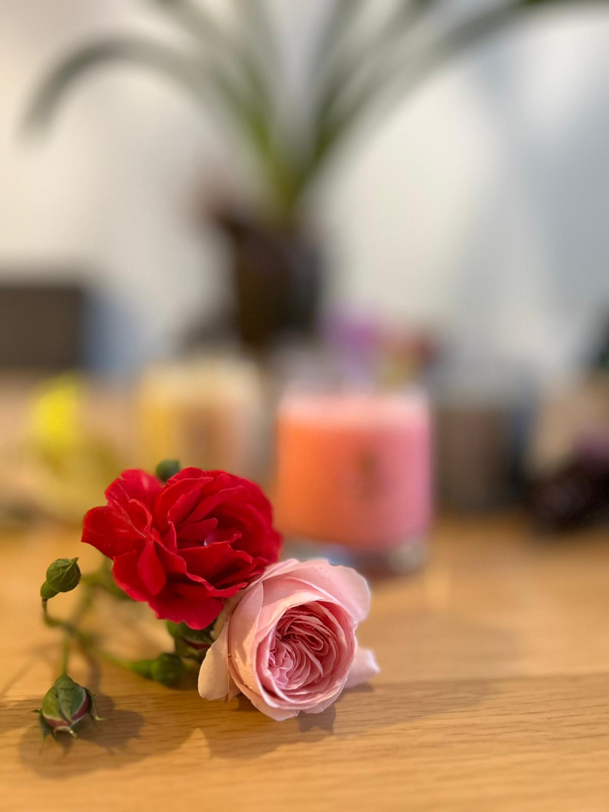 Märchenrose