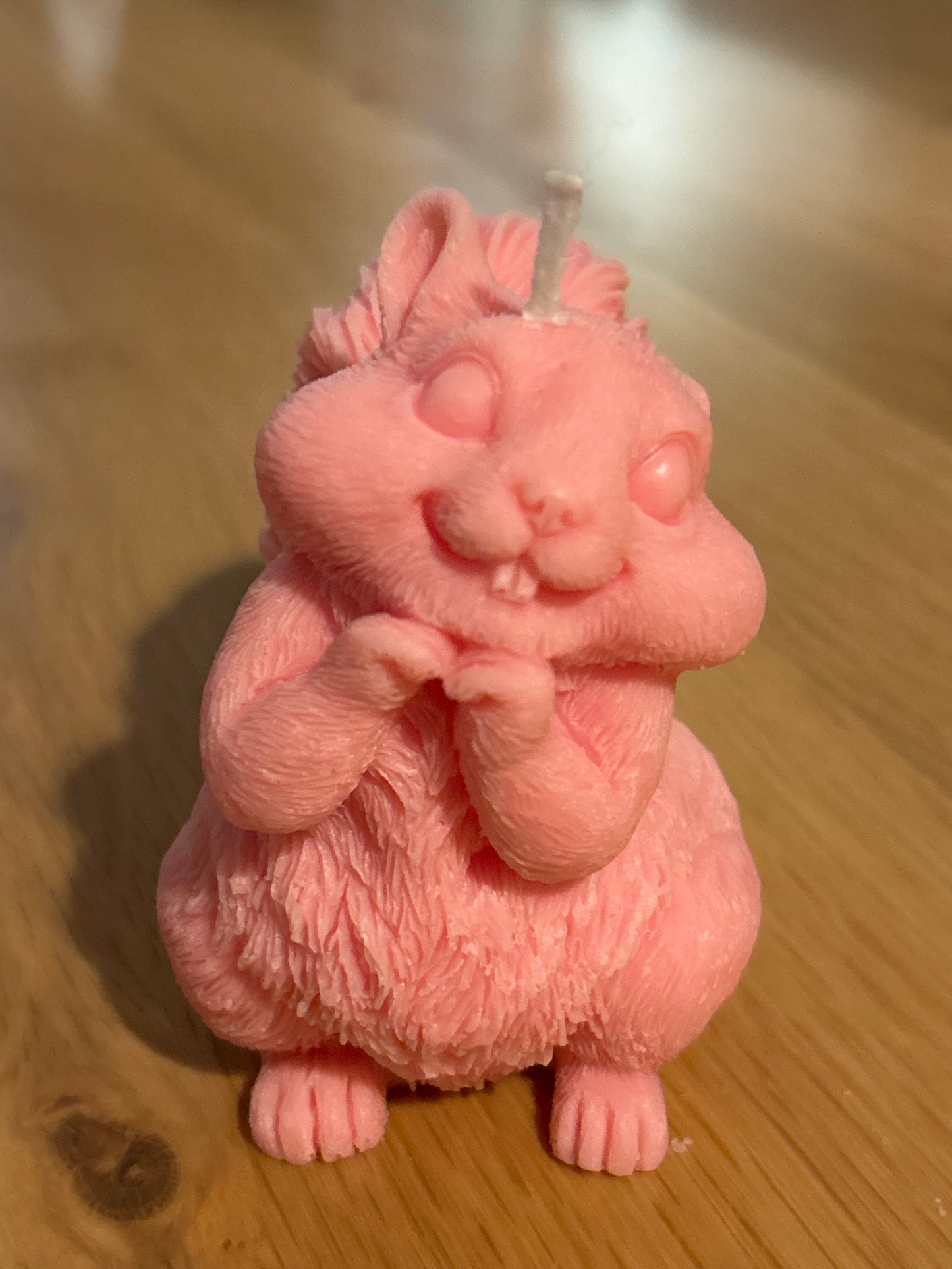 Eichhörnchen Kerze