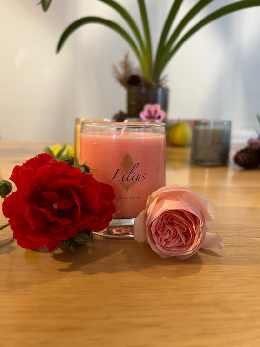 Märchenrose