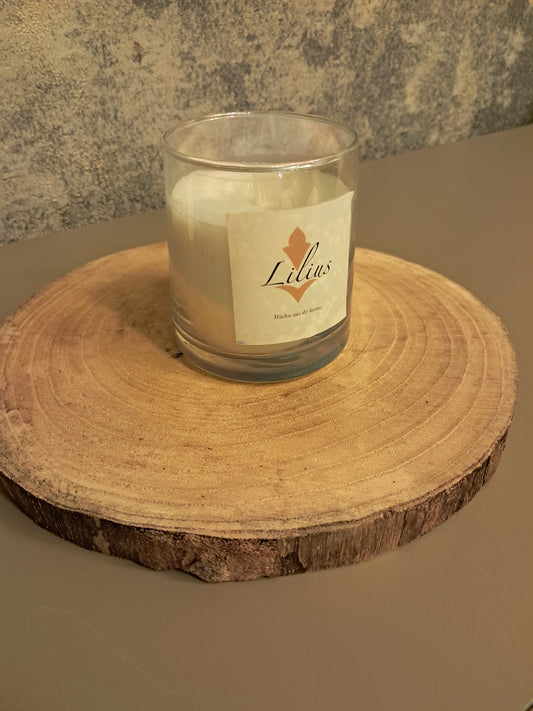 Holzscheibe xxl